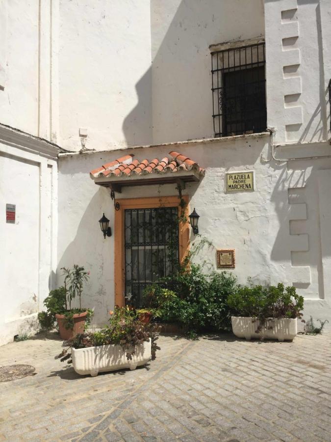 Apartment Erizo 3 Loft Diafano En El Centro Historico Tarifa
